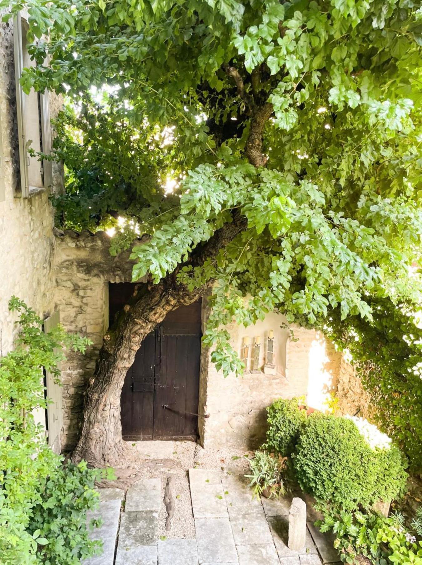 Le Murier Vaison-la-Romaine Buitenkant foto