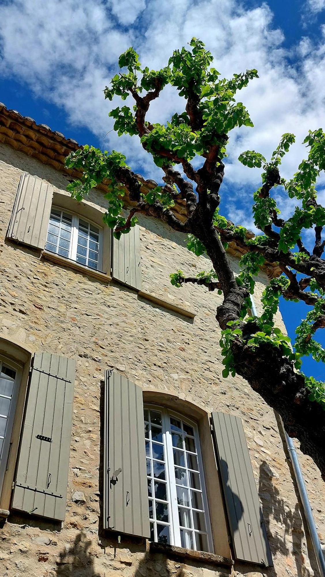 Le Murier Vaison-la-Romaine Buitenkant foto